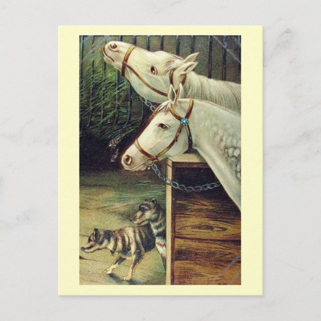 Horses and Dogs Vintage Postcard (Front)