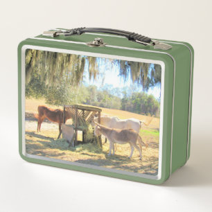 Horses and Donkey Lunch Time  Metal Lunch Box