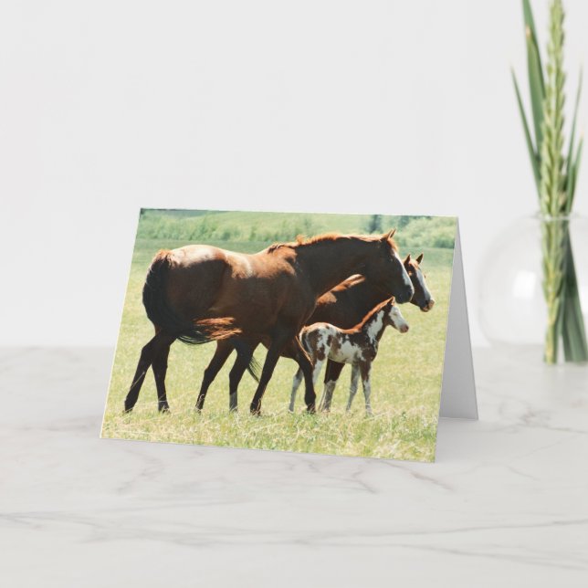 Horses and Foal Picture Card (Front)