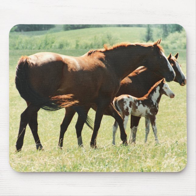 Horses and Foal Picture Mouse Pad (Front)