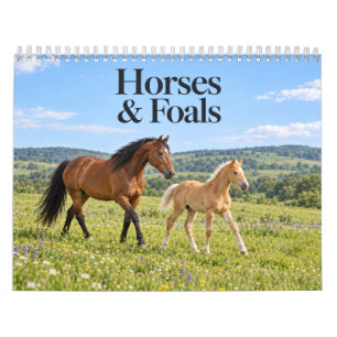 Horses and Foals Scenic Countryside Calendar