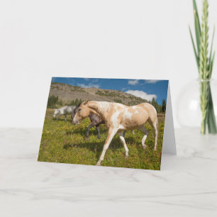 Horses and Mules Card