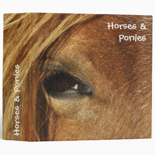 Horses and ponies binder