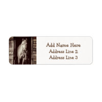 Horses and Rustic Brown Barn