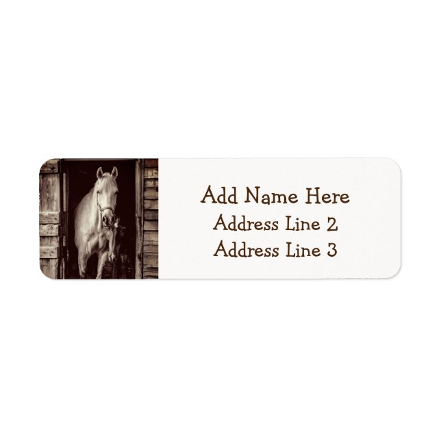 Horses and Rustic Brown Barn (Front)