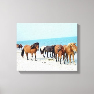 Horses Assateague National Sea Shore Maryland Canvas Print