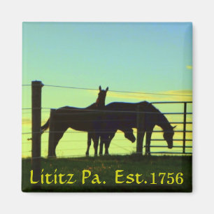 Horses at Sunset in Lititz Pa. Magnet