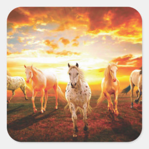 Horses at sunset throw pillow square sticker