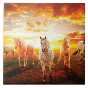 Horses at sunset throw pillow tile