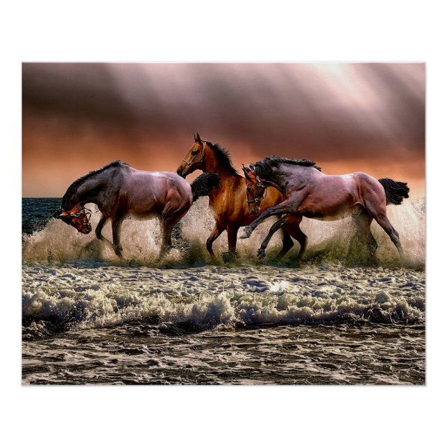Horses at the beach poster (Front)
