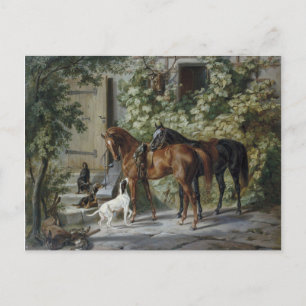 Horses at the Porch (by Albrecht Adam) Postcard