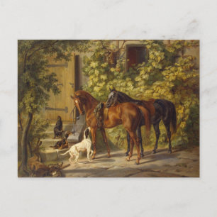 Horses at the Porch Postcard