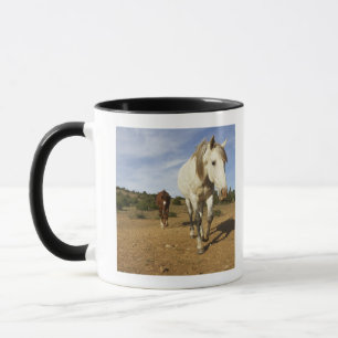 Horses, Aude, Languedoc-Roussillon, France Mug