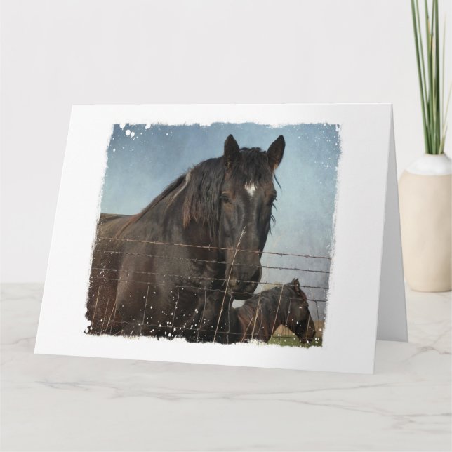 Horses Behind The Fence Card (Front)