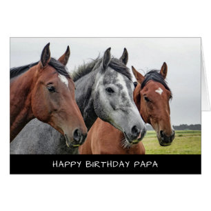 Horses Birthday Card