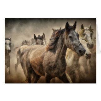 Horses Blank Card
