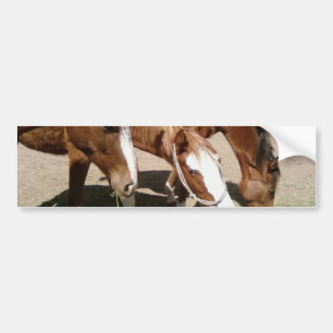 Horses Bumper Sticker