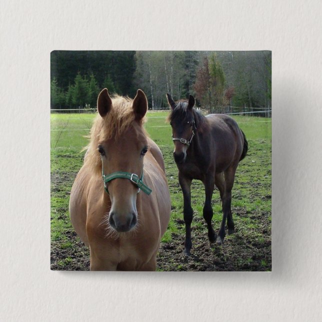 Horses button (Front)
