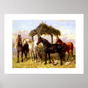 Horses by a river circa 1800s poster