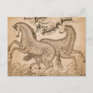 Horses By Penmanship Postcard