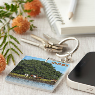 Horses by the water - Costa Rica  Keychain