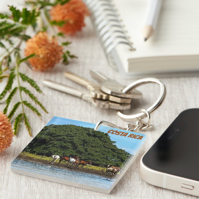 Horses by the water - Costa Rica  Keychain (Front Right)