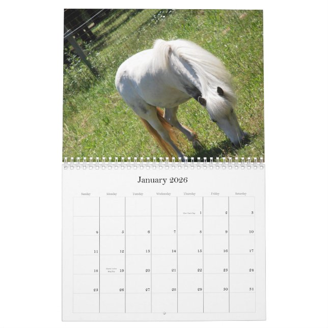 Horses Calendar (Jan 2026)