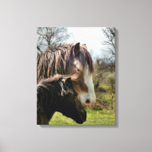 HORSES CANVAS PRINT