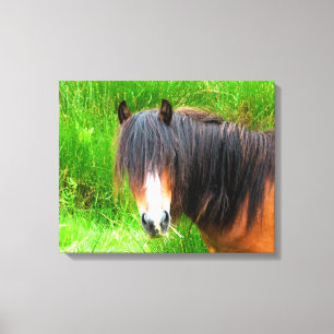 HORSES CANVAS PRINT
