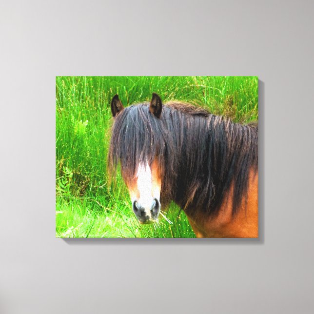 HORSES CANVAS PRINT (Front)