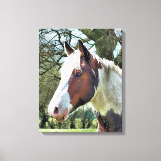 HORSES CANVAS PRINT (Front)