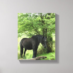 HORSES CANVAS PRINT
