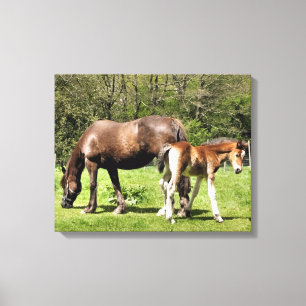 HORSES CANVAS PRINT
