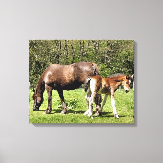 HORSES CANVAS PRINT (Front)
