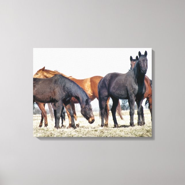 HORSES CANVAS PRINT (Front)