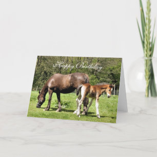HORSES CARD