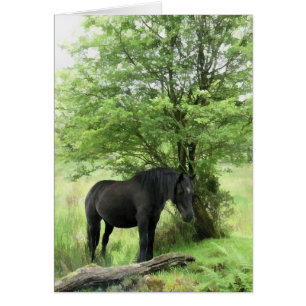 HORSES CARD