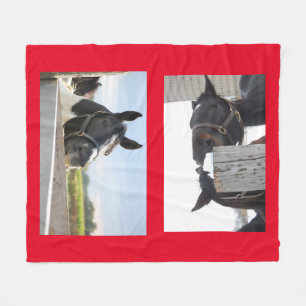 Horses Chewing on a Fence Fleece Blanket