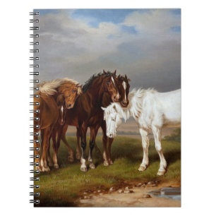 Horses circa 1864 notebook
