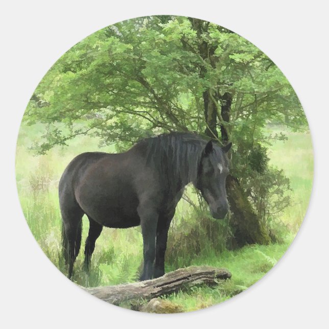 HORSES CLASSIC ROUND STICKER (Front)