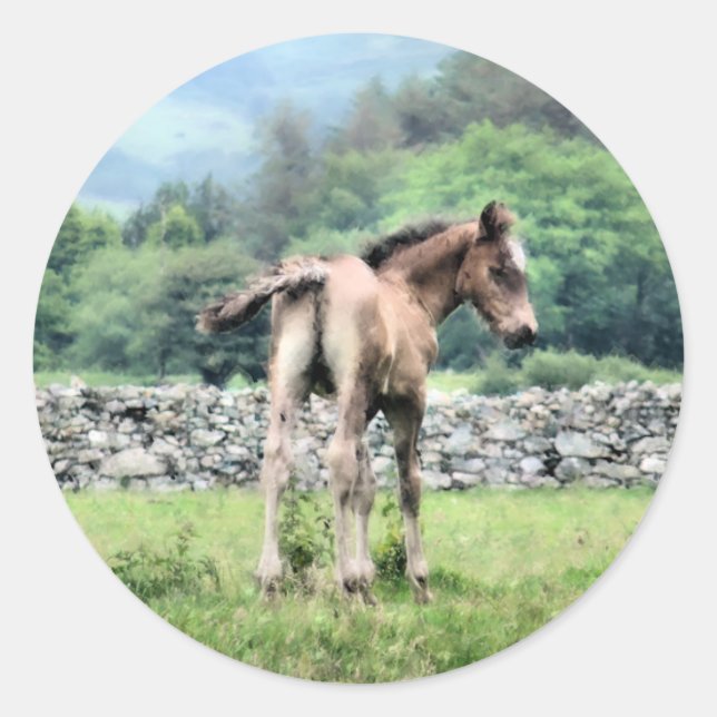 HORSES CLASSIC ROUND STICKER (Front)