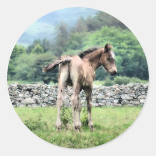 HORSES CLASSIC ROUND STICKER