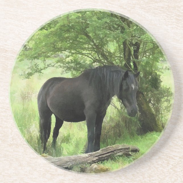 HORSES COASTER (Front)