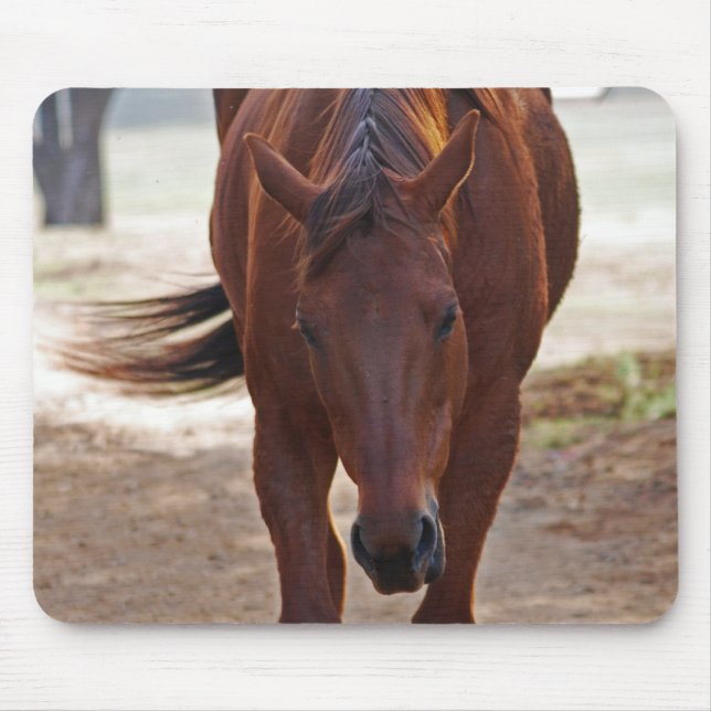 Horses coming home mouse pad (Front)