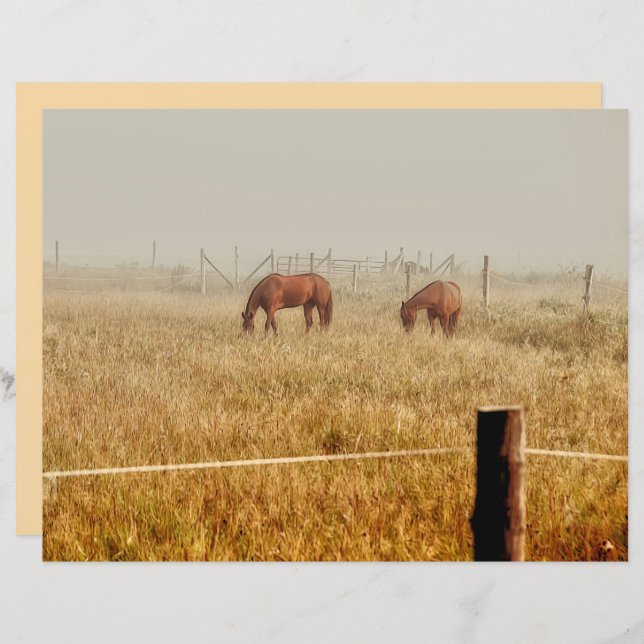 Horses Country Farm Rustic Brown Decoupage (Front/Back)