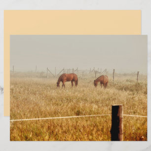 Horses Country Farm Rustic Brown Decoupage