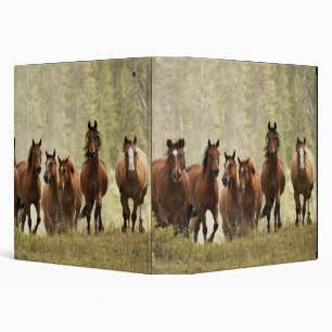 Horses cresting small hill during roundup binder