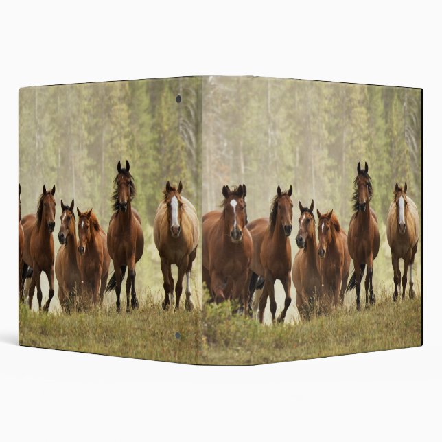 Horses cresting small hill during roundup binder (Background)