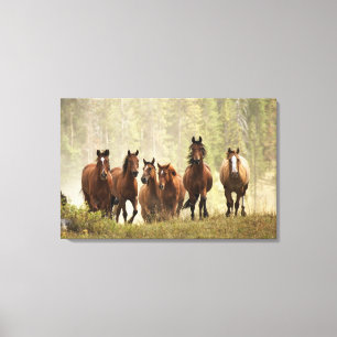 Horses cresting small hill during roundup canvas print