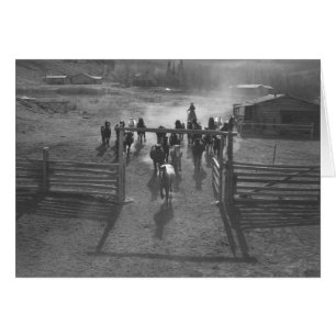 Horses entering a corral